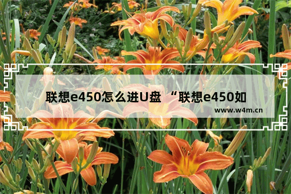 联想e450怎么进U盘 “联想e450如何通过U盘启动”