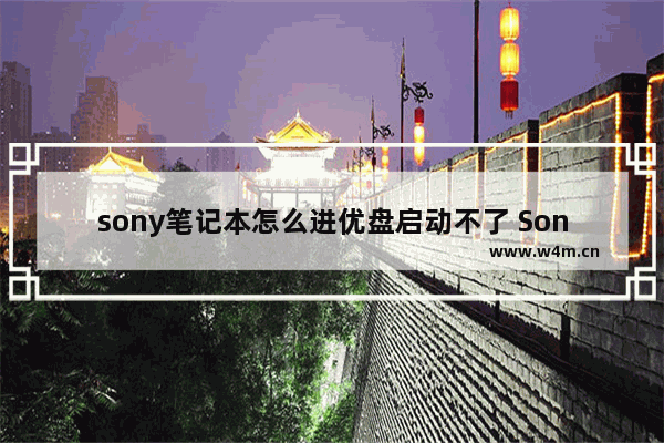 sony笔记本怎么进优盘启动不了 Sony笔记本无法通过优盘启动问题解决方法