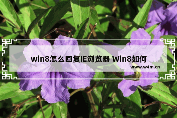 win8怎么回复IE浏览器 Win8如何恢复IE浏览器