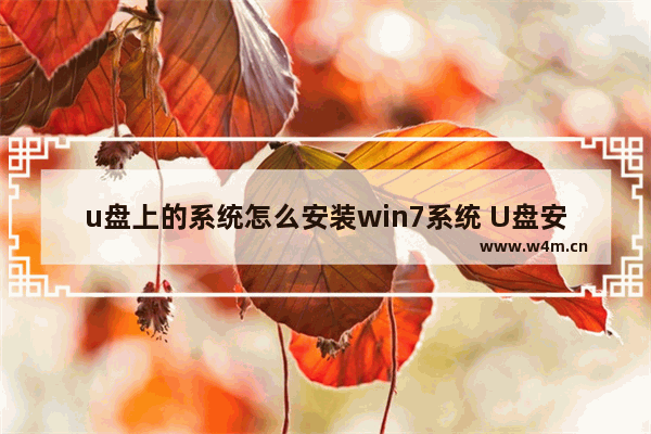 u盘上的系统怎么安装win7系统 U盘安装Win7系统，步骤详解