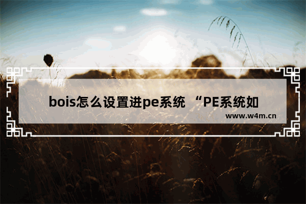 bois怎么设置进pe系统 “PE系统如何配置bois设置”