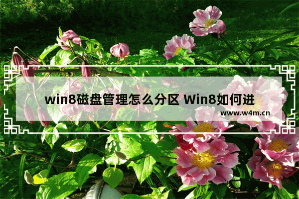 win8磁盘管理怎么分区 Win8如何进行磁盘分区管理