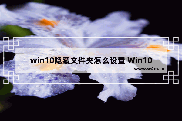 win10隐藏文件夹怎么设置 Win10如何设置隐藏文件夹