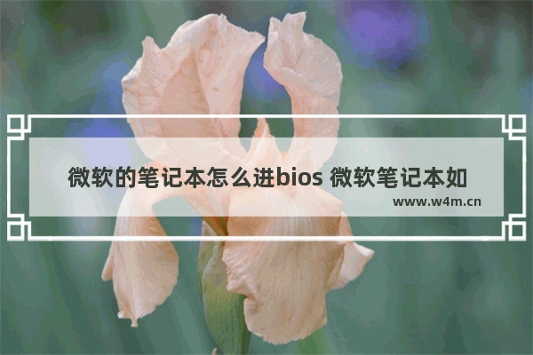 微软的笔记本怎么进bios 微软笔记本如何进入BIOS