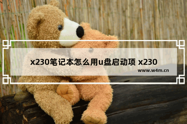 x230笔记本怎么用u盘启动项 x230笔记本如何使用U盘启动