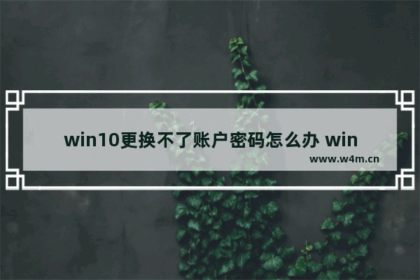 win10更换不了账户密码怎么办 win10账户密码无法修改，解决方案！