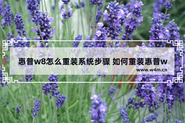 惠普w8怎么重装系统步骤 如何重装惠普w8系统 | W8系统重装教程