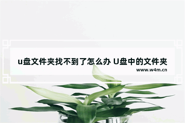 u盘文件夹找不到了怎么办 U盘中的文件夹不见了怎么办