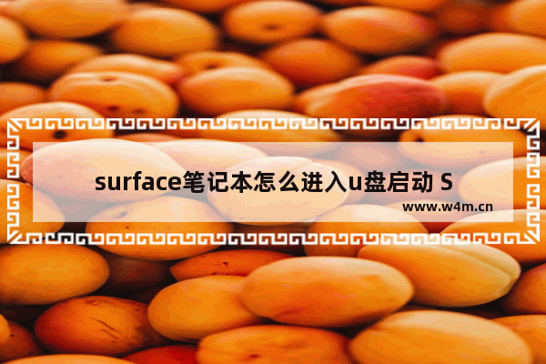 surface笔记本怎么进入u盘启动 Surface笔记本如何进行U盘启动