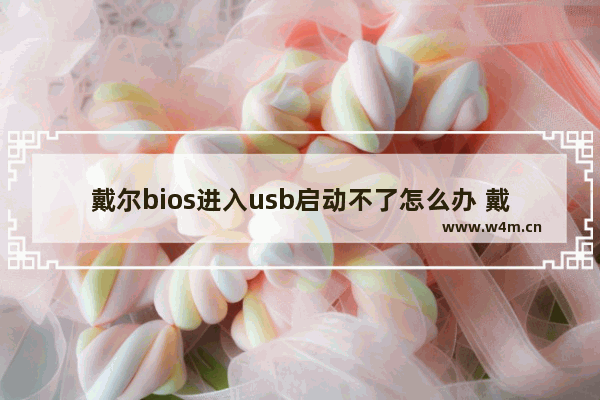 戴尔bios进入usb启动不了怎么办 戴尔电脑无法通过USB启动的解决方法