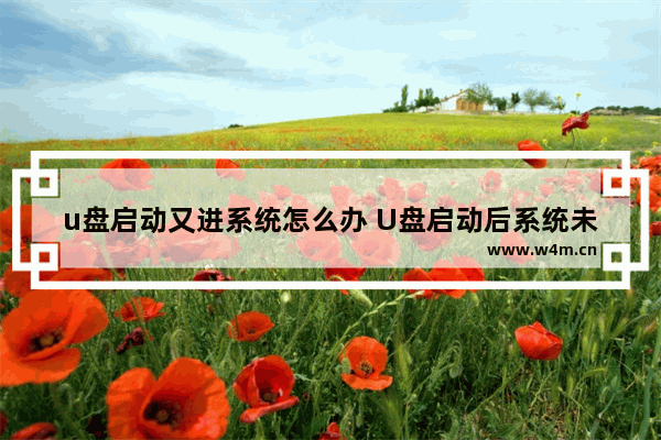 u盘启动又进系统怎么办 U盘启动后系统未进入，怎么办？