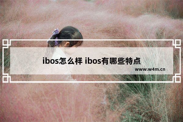 ibos怎么样 ibos有哪些特点