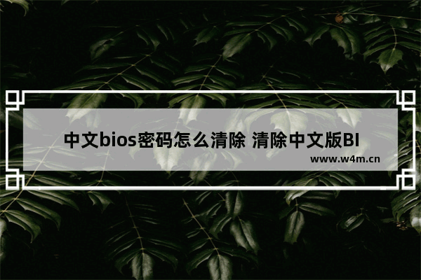 中文bios密码怎么清除 清除中文版BIOS密码的方法