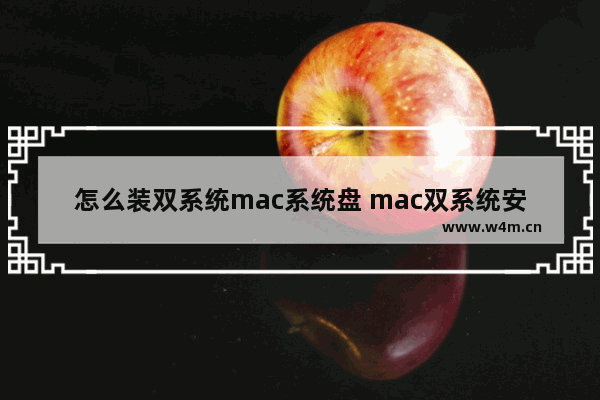 怎么装双系统mac系统盘 mac双系统安装完全指南