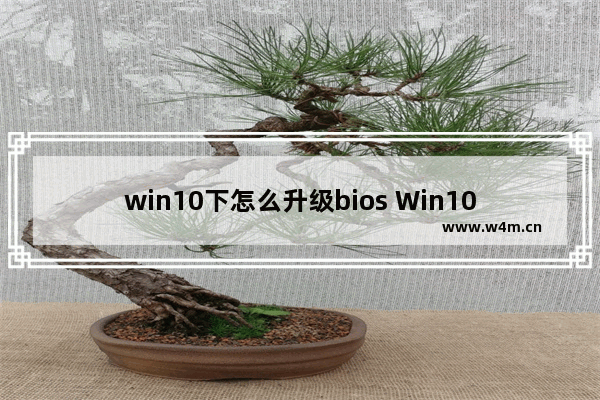 win10下怎么升级bios Win10如何升级BIOS