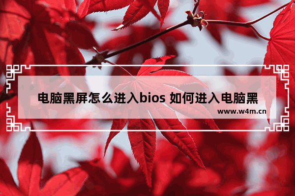 电脑黑屏怎么进入bios 如何进入电脑黑屏问题的BIOS设置？