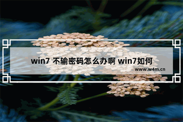 win7 不输密码怎么办啊 win7如何解决忘记密码问题