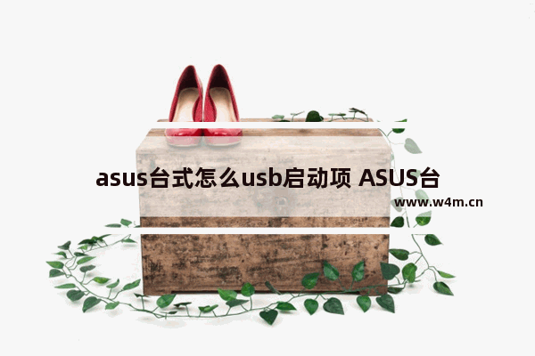 asus台式怎么usb启动项 ASUS台式机USB启动设置方法