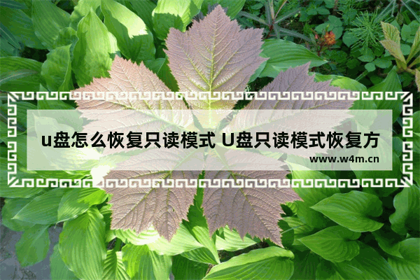 u盘怎么恢复只读模式 U盘只读模式恢复方法