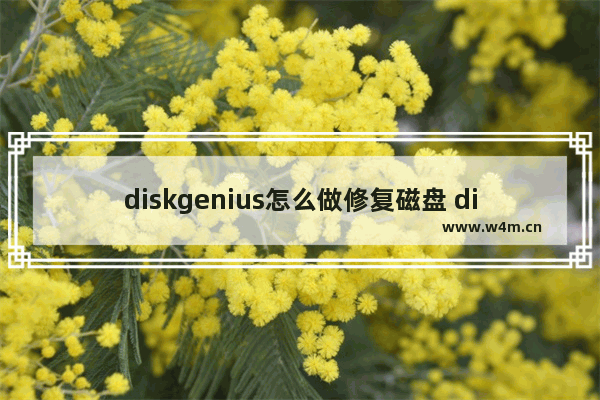 diskgenius怎么做修复磁盘 diskgenius修复磁盘教程