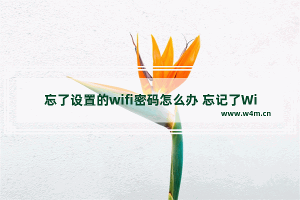 忘了设置的wifi密码怎么办 忘记了WiFi密码该怎么办？