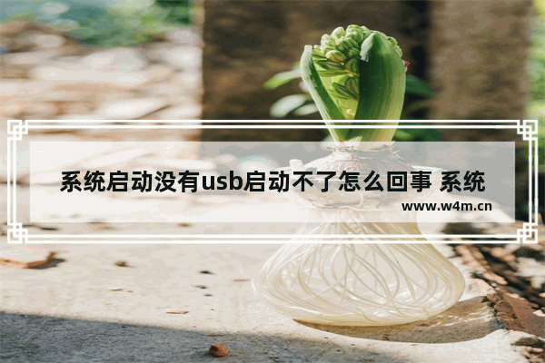 系统启动没有usb启动不了怎么回事 系统无法从USB启动的解决方法