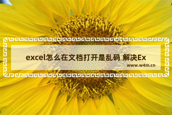 excel怎么在文档打开是乱码 解决Excel文档打开时乱码问题