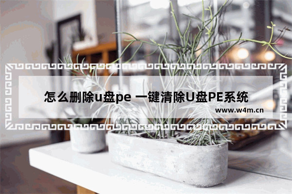 怎么删除u盘pe 一键清除U盘PE系统