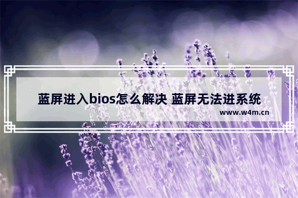 蓝屏进入bios怎么解决 蓝屏无法进系统，如何解决？