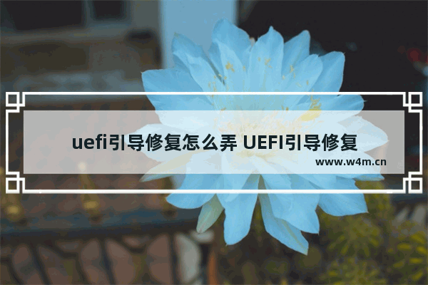 uefi引导修复怎么弄 UEFI引导修复的解决方法