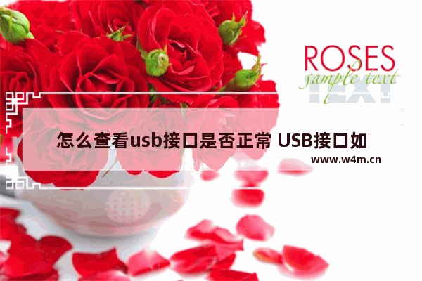 怎么查看usb接口是否正常 USB接口如何检测正常工作