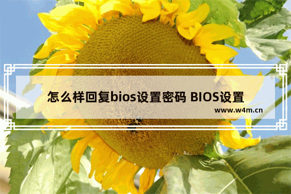 怎么样回复bios设置密码 BIOS设置密码回复方法