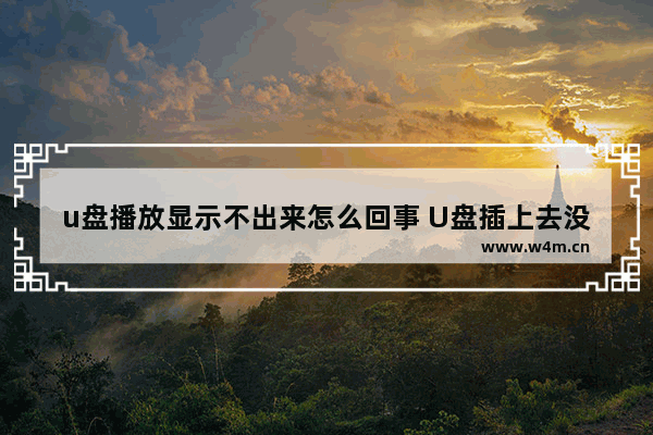 u盘播放显示不出来怎么回事 U盘插上去没有反应，该怎么解决？