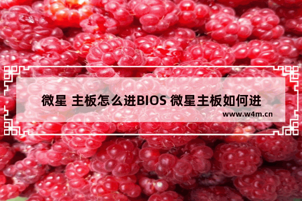 微星 主板怎么进BIOS 微星主板如何进入BIOS设置