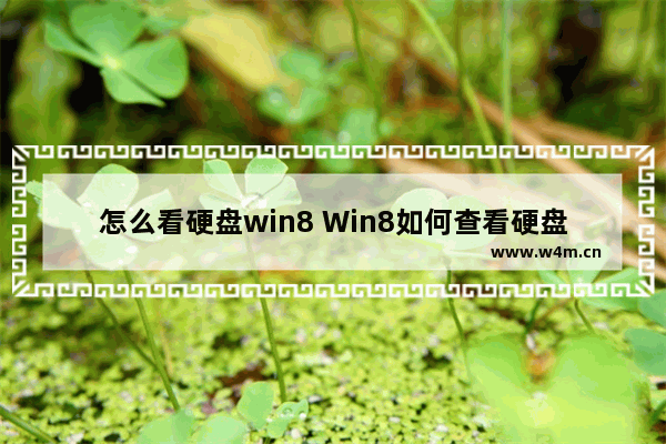 怎么看硬盘win8 Win8如何查看硬盘信息