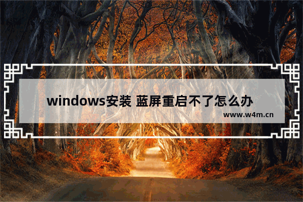 windows安装 蓝屏重启不了怎么办 解决方法：Windows蓝屏后无法重启？