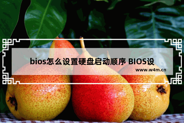 bios怎么设置硬盘启动顺序 BIOS设置硬盘启动顺序