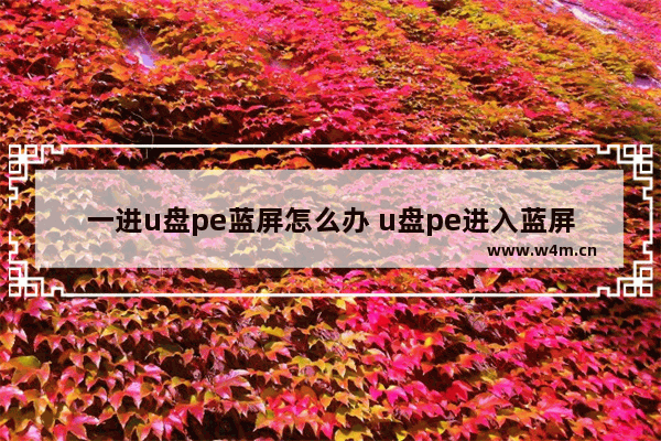 一进u盘pe蓝屏怎么办 u盘pe进入蓝屏解决方法