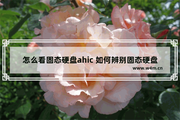 怎么看固态硬盘ahic 如何辨别固态硬盘AHCI？