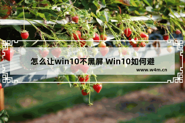 怎么让win10不黑屏 Win10如何避免黑屏？