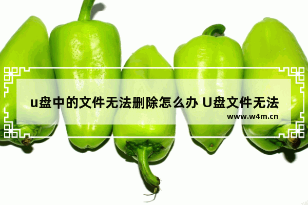 u盘中的文件无法删除怎么办 U盘文件无法删除的解决方法