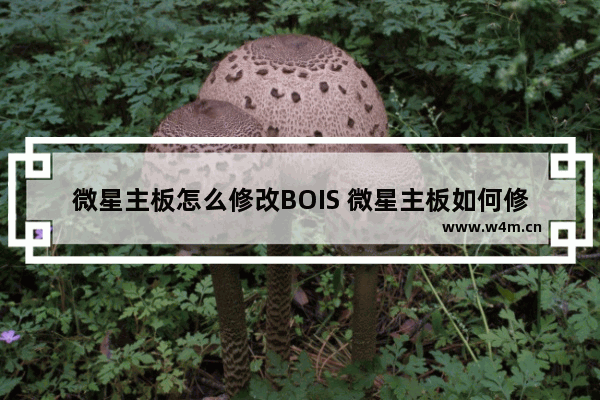 微星主板怎么修改BOIS 微星主板如何修改BIOS