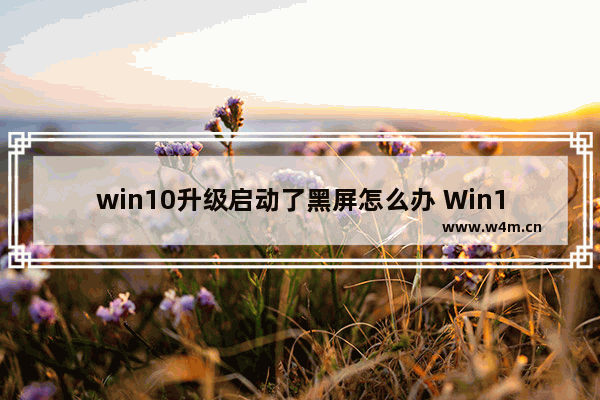 win10升级启动了黑屏怎么办 Win10升级黑屏问题解决方法