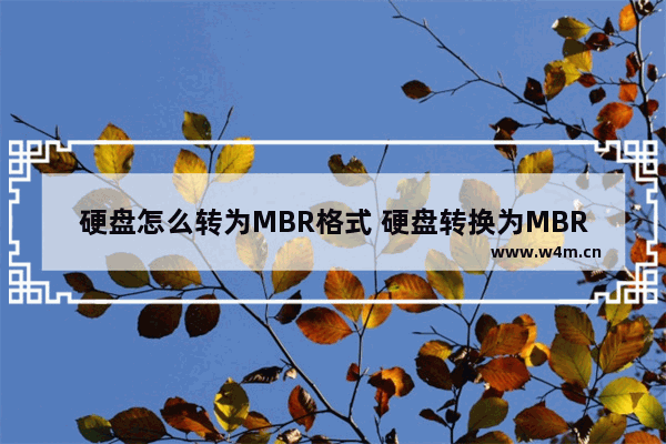 硬盘怎么转为MBR格式 硬盘转换为MBR格式的方法