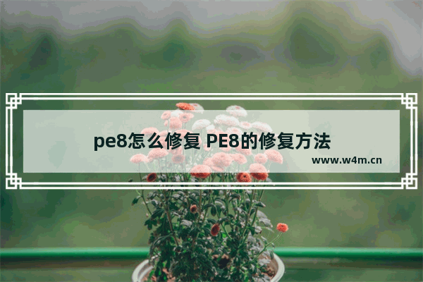 pe8怎么修复 PE8的修复方法