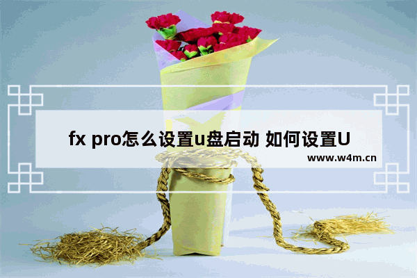 fx pro怎么设置u盘启动 如何设置U盘启动FX Pro