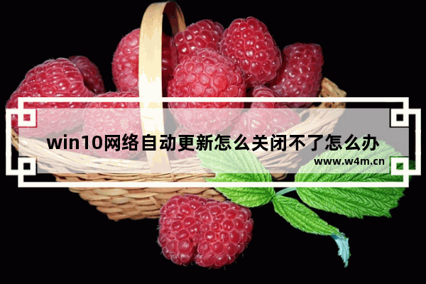 win10网络自动更新怎么关闭不了怎么办 关闭Win10网络自动更新方法大全