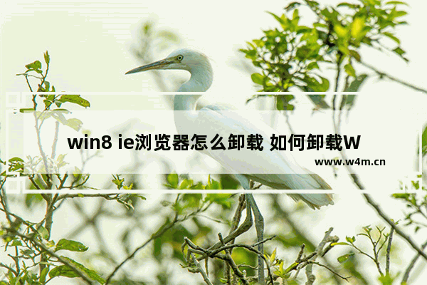 win8 ie浏览器怎么卸载 如何卸载Win8中的IE浏览器