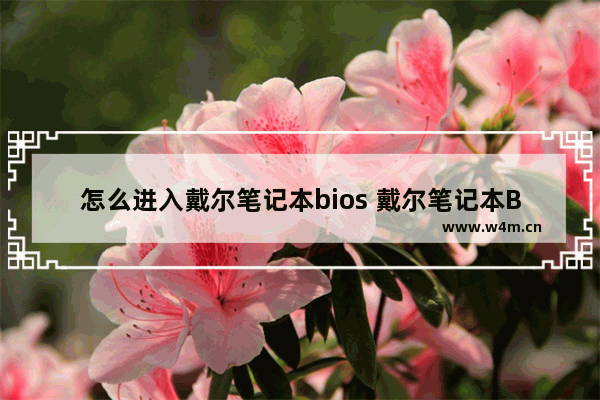 怎么进入戴尔笔记本bios 戴尔笔记本BIOS进入教程