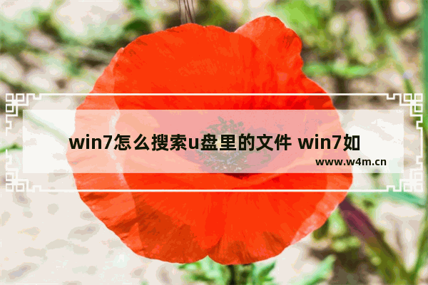 win7怎么搜索u盘里的文件 win7如何查找U盘文件